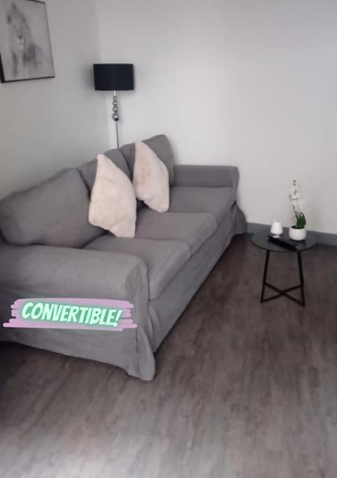 Appartement Coeur De Ville! Фуа Экстерьер фото